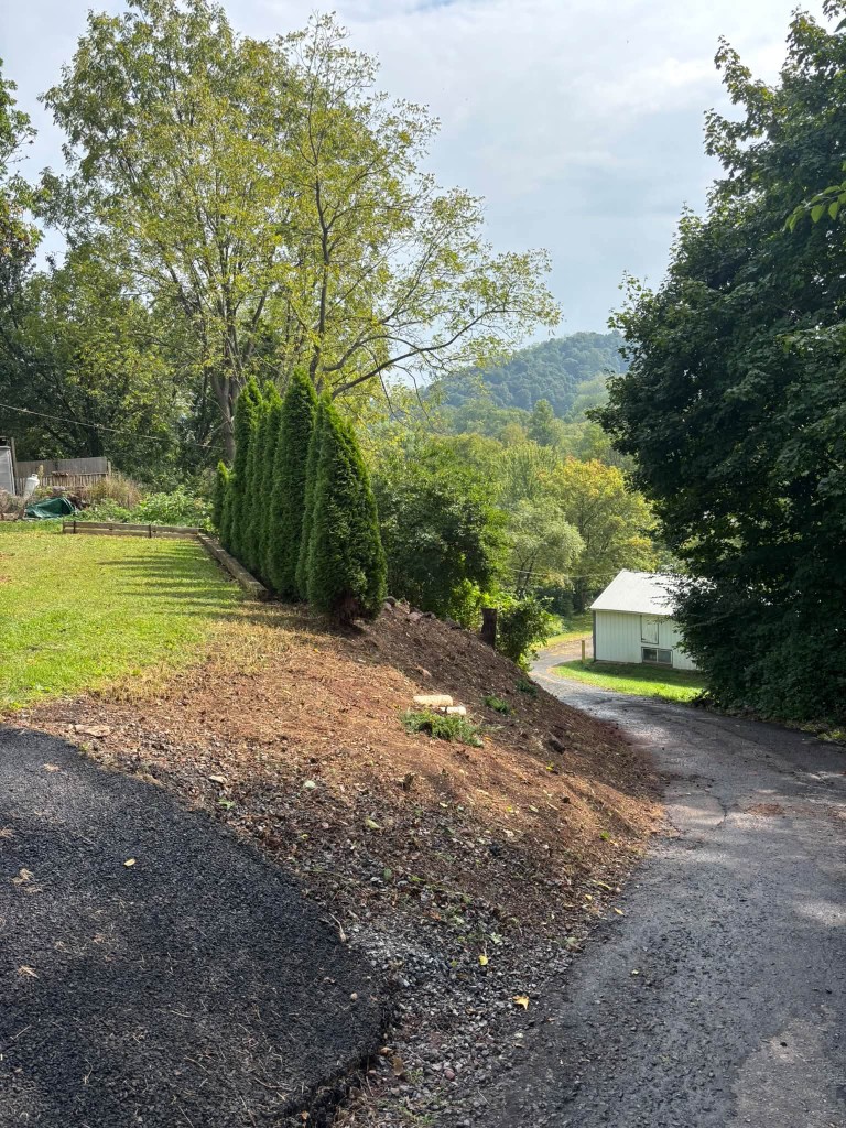 Lower hillside after dense brush and overgrowth were cleared
