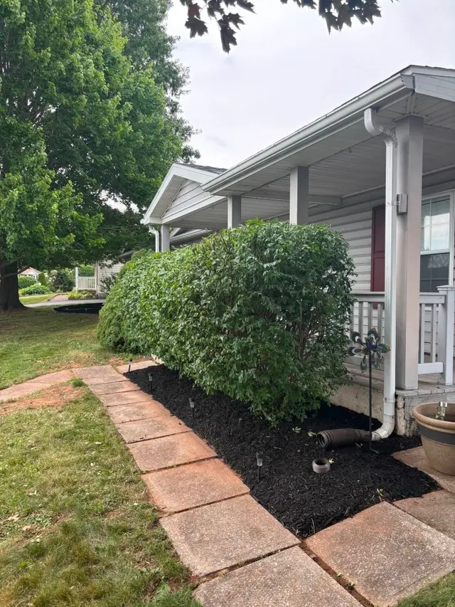 Trimmed shrubs and freshly mulched bed beside the entry walkway