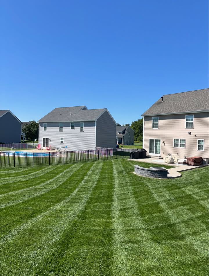 A neatly striped residential lawn after mowing